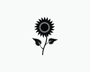 Sunflower Sharp Petal Branch Outline Vector Illustration 