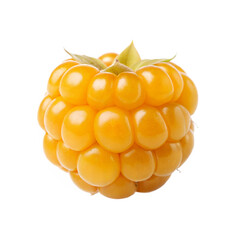 Single Ripe Cloudberry Close Up Studio Shot