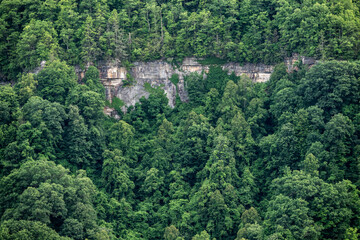 Gray Rock Cliffs Emerge From Thick Green Forest In New River Gorge