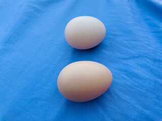 Two Fresh Eggs on Blue background