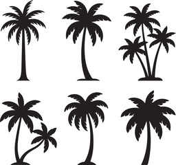 Fototapeta premium Palm Tree Collection of Silhouette vector on transparent background.