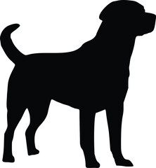 Labrador Dog Alert Standing Silhouette Illustration Vector