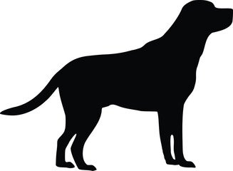 Labrador Dog Standing Side View Silhouette Illustration