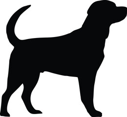 Labrador Retriever Dog Standing Alert Side View Silhouette Illustration Vector