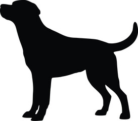Labrador Dog Standing Alert Side View Silhouette Illustration Vector
