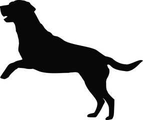 Labrador Dog Jumping Silhouette Illustration Vector