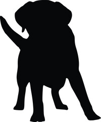 Labrador Retriever Dog Standing Front View Silhouette Illustration Vector
