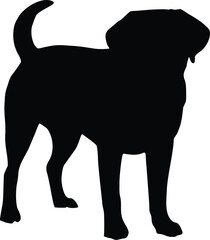 Labrador Dog Standing Silhouette Illustration Vector