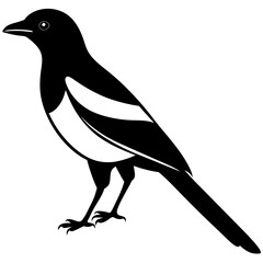 Animal magpie silhouette vector illustrator 