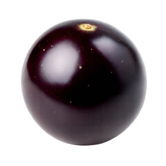 Single Round Dark Purple Eggplant Isolated on Black Background