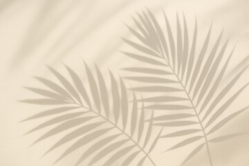 Soft shadows of palm leaves on smooth wall
