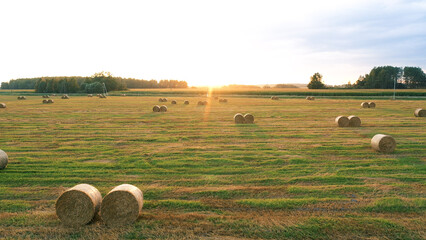 Idyllic picturesque summer landscape countryside at sunset on summer evening. Flying at sun over...