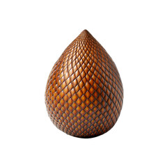 Single Salak Fruit Isolated on Black Background