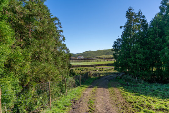View along Trilho Rocha do Chamgre 0 - PRC06 hiking trail on Terceira in the Azores of Portugal.