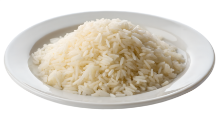bowl of rice