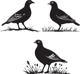 Quail standing on the ground vector