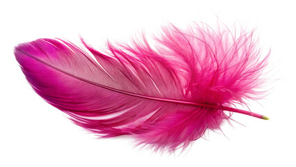 Obraz premium pink feather isolated on white background PNG