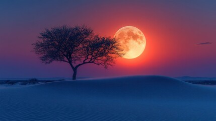 Desert moonrise