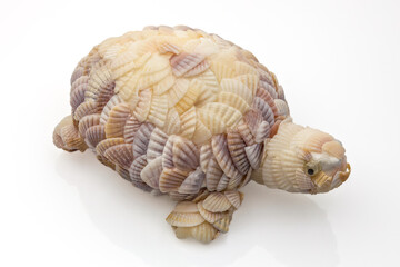 small turtle made by gluing together hundreds of shells of various colors on transparent background