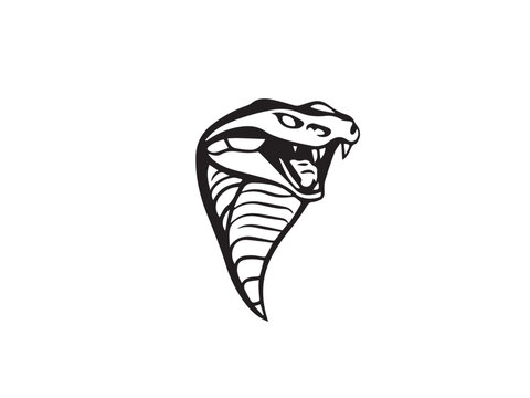 Snake silhouette on white background. Snake icon. Snake logo. Vector illustration. 