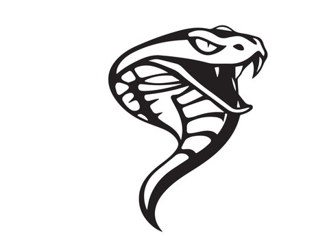Snake silhouette on white background. Snake icon. Snake logo. Vector illustration. 