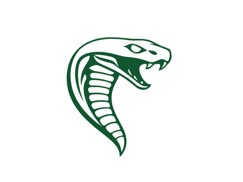 Snake silhouette on white background. Snake icon. Snake logo. Vector illustration. 