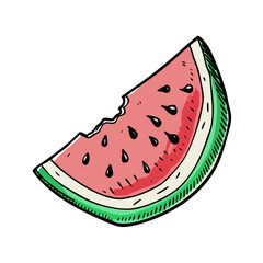 watermelon vector illustration