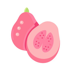vector illustration of a cherry