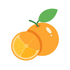 vector illustration of an orange