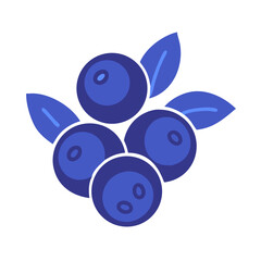 blueberries isolated on white background