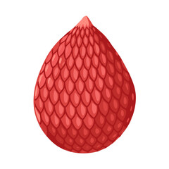 icon vector