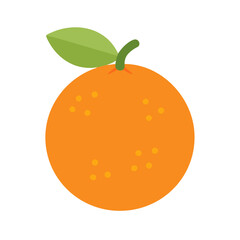 orange fruit vector illustration
