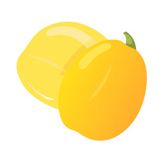 vector illustration of a pumpkin