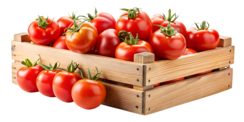 tomatoes in wooden box isolated on white background PNG