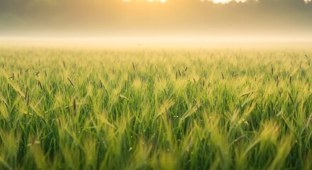 Fototapeta premium Golden Hour's Embrace AI Generated