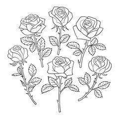 A modern isolated rose flower on a stem with leaves vector