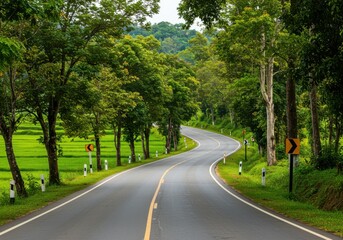 Fototapeta premium Winding asphalt road through a vibrant green forest landscape view
