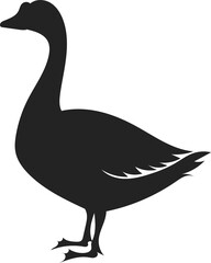 black  goose