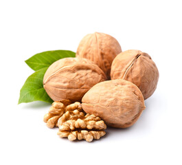 Dried walnut with leaves