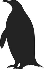 penguin © maridownload