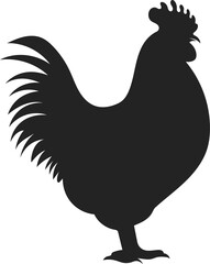 rooster