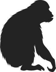 orangutan © maridownload