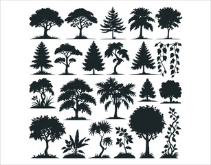 Eco Jungle Trees in Centered Silhouette