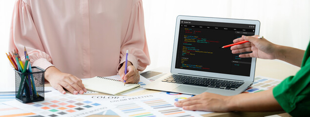 Software development programming on computer screen for brisk application and program coding
