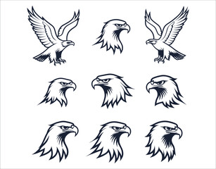 Fototapeta premium Clean Eagle Line Art Collection