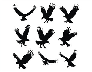 Obraz premium Flight of Eagles Vector Bundle