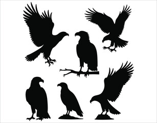 Obraz premium Freedom Flight Eagle Silhouettes