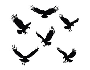 Fototapeta premium Soaring Eagles Silhouette Collection