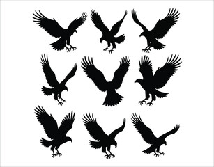 Obraz premium Vintage Eagle Silhouettes Collection