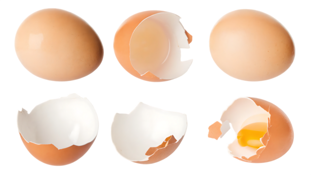 broken eggshell isolated on white background PNG